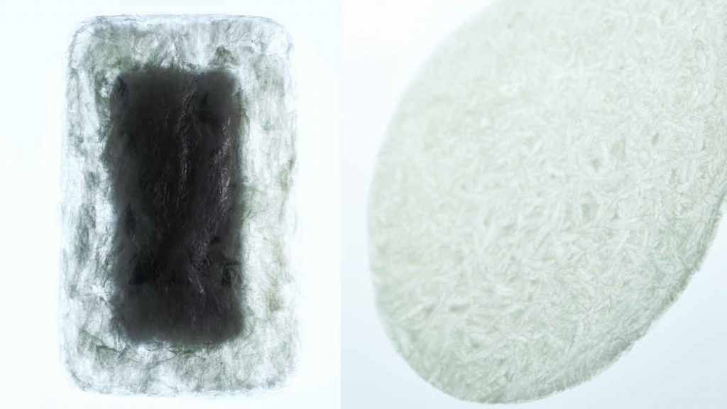 agar-main