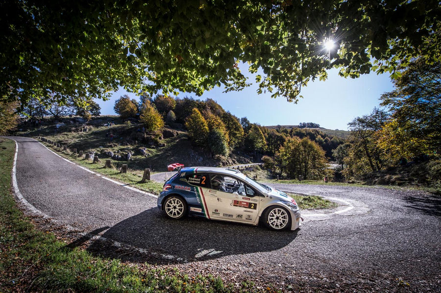 peugeot-208-rally-andreucci-2016-rally-due-valli-18