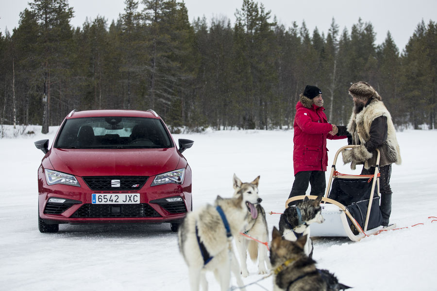 seat-leon-cupra-ghiaccio-huskies-jordi-gene-10