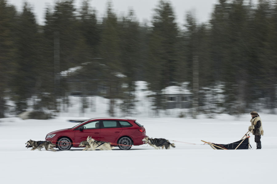 seat-leon-cupra-ghiaccio-huskies-jordi-gene-6