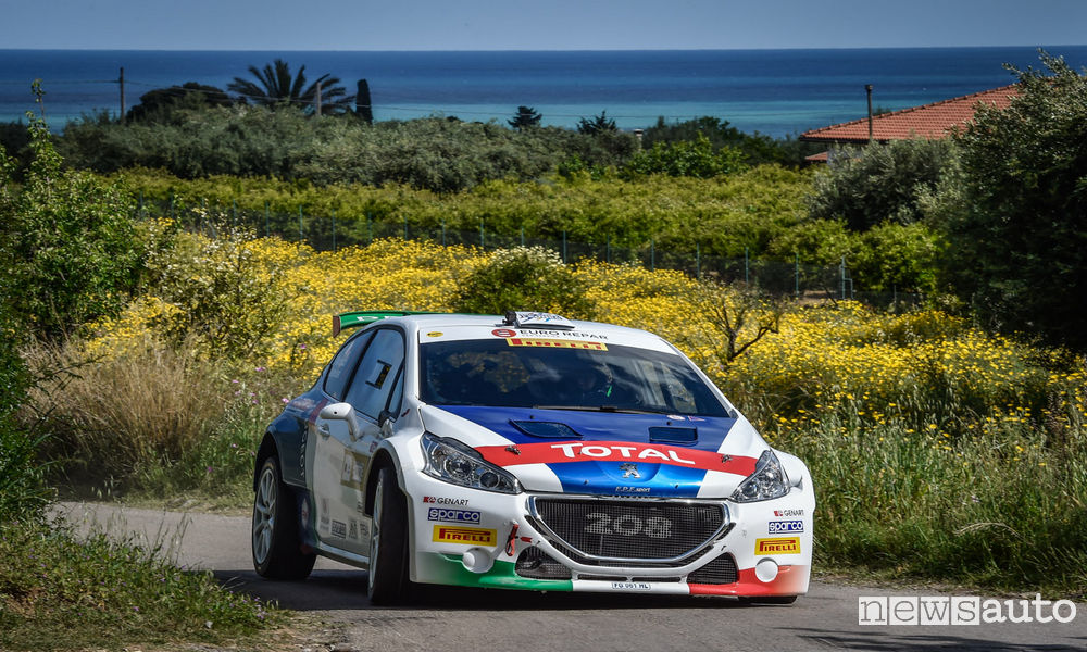 cir-2017-peugeot-208t16-andreucci