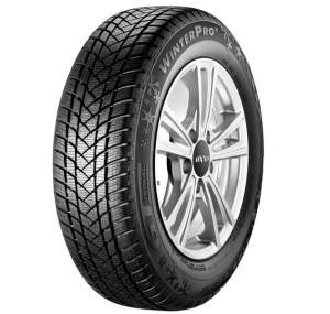GT-Radial-WinterPro2-1