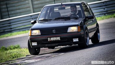 Peugeot 205 GTi Gutman Pista