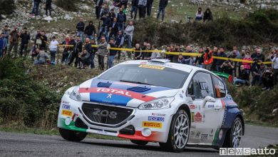Peugeot 208 Rally Due Valli Andreucci