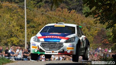 Rally Due Valli CIR 2017 Peugeot Andreucci