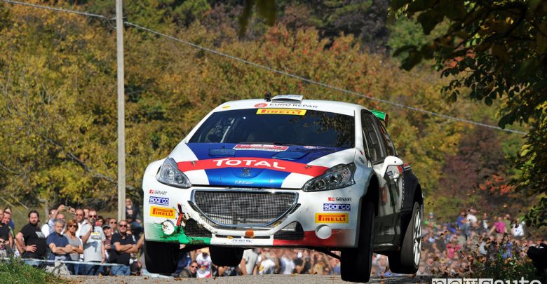 Rally Due Valli CIR 2017 Peugeot Andreucci