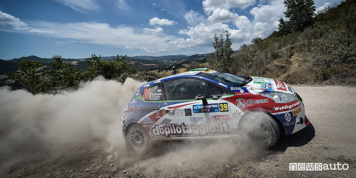 Peugeot Competition Raceday Terra