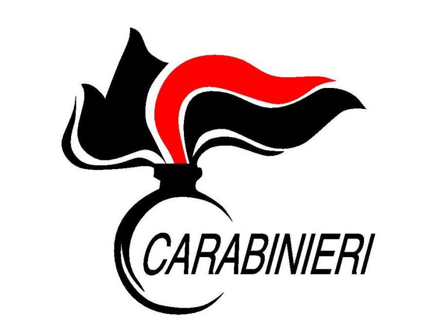 Risultato immagini per logo carabinieri