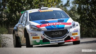Carburanti speciali e carburanti da competizione Total Italia (Peugeot 208 T16 Andreucci)