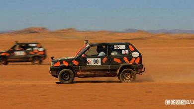 Panda Raid 2018