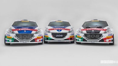 Peugeot al Rally del Ciocco 2018