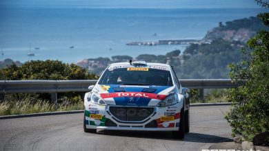 Classifica Rally Elba 2018 Paolo Andreucci Peugeot 208 T16