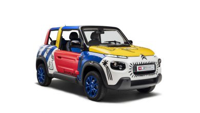 Art Car Citroen Mehari