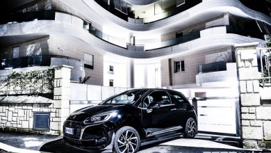 DS3 serie speciale Black Lezard