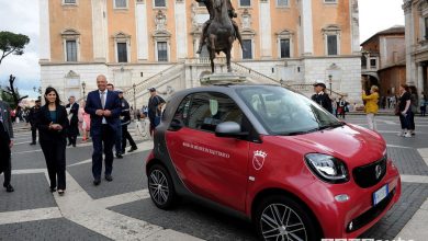 smart elettrica Raggi
