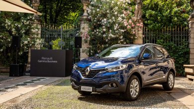 renault Business