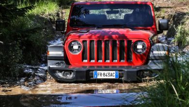 Jeep Wrangler JL 2019 guado