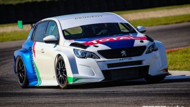 Peugeot 308 da corsa TCR 2019, vista di profilo