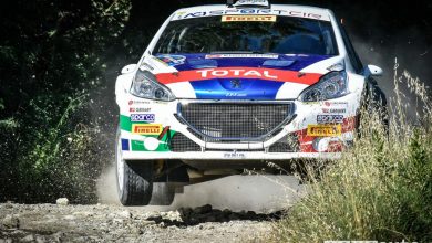 Peugeot 208 T16 Andreucci Rally Adriatico 2018