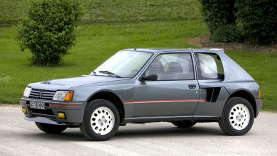 Peugeot_205_T16 stradale, vista di profilo