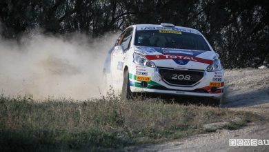 Peugeot Competition Raceday Terra