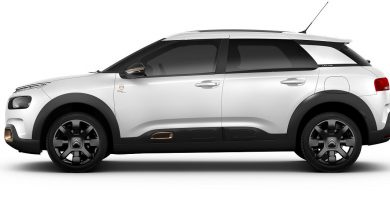 Citroën C4 Cactus Origins
