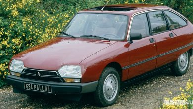 Tetto auto Citroën GSA Pallas