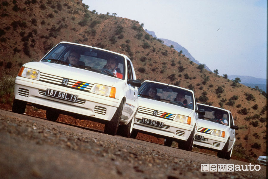 Peugeot 205 Rallye