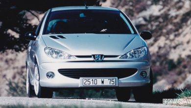 Peugeot 206 GT club auto ventennali