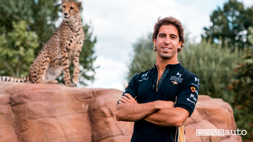Antonio Felìx Da Costa pilota DS nella stagione 2019/20 di Formula E