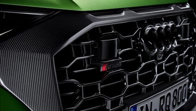 Griglia a nido d'ape Audi RS Q8