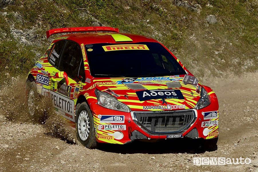Paolo Andreucci Peugeot 208 R5 Tuscan Rewind 2019