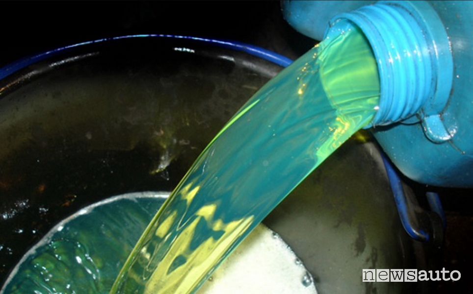 Olio di colza diesel illegale, vietato in Italia