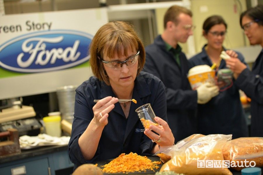 Debbie Mielewski, Senior Technical Leader Ford, Sustainability and Emerging materials research Team