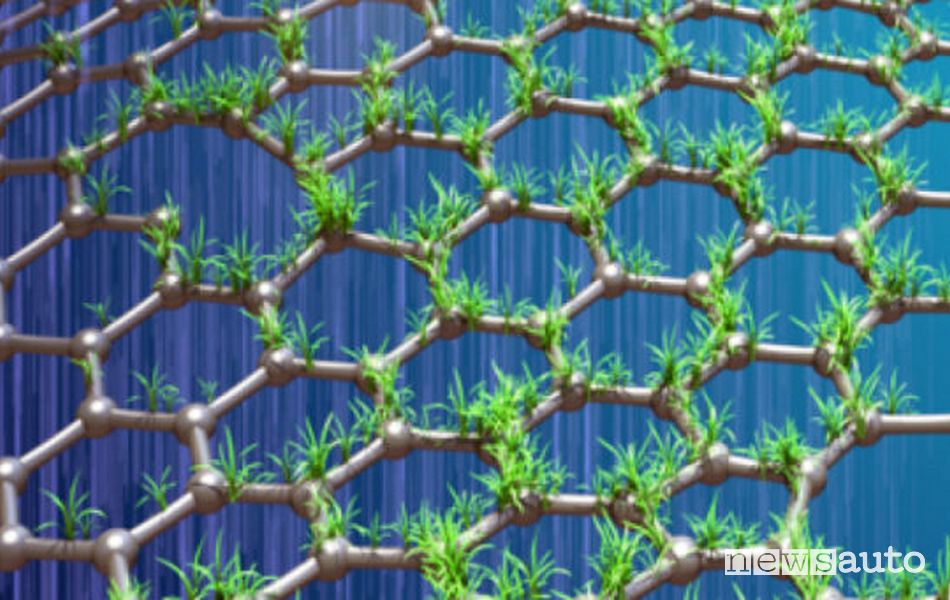 Nanofoglio o nanosheet con elementi vegetali da canapa