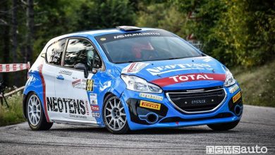 Peugeot Competition 2020