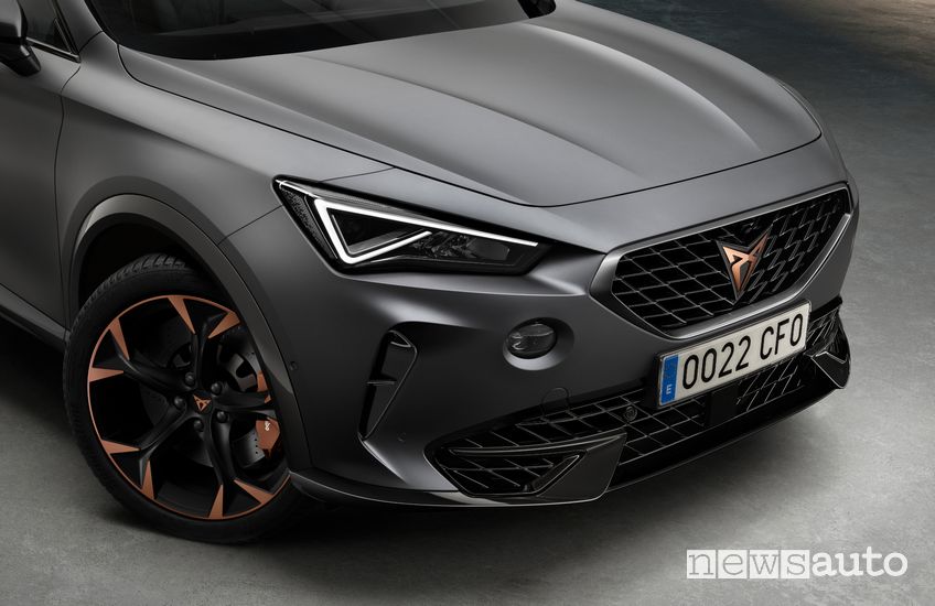 Calandra anteriore Cupra Formentor