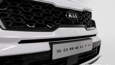 Mascherina anteriore Kia Sorento 2020