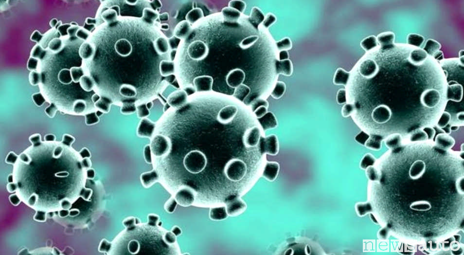 Coronavirus Covid-19