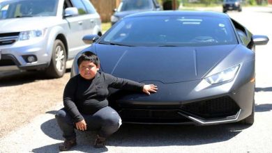 sognare un'auto sportiva lamborghini