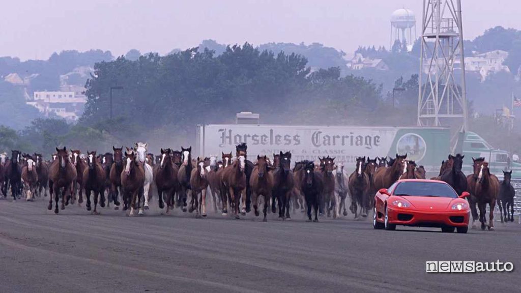 foto Ferrari da 400 cavalli vapore inseguita da "cavalli con la coda"
