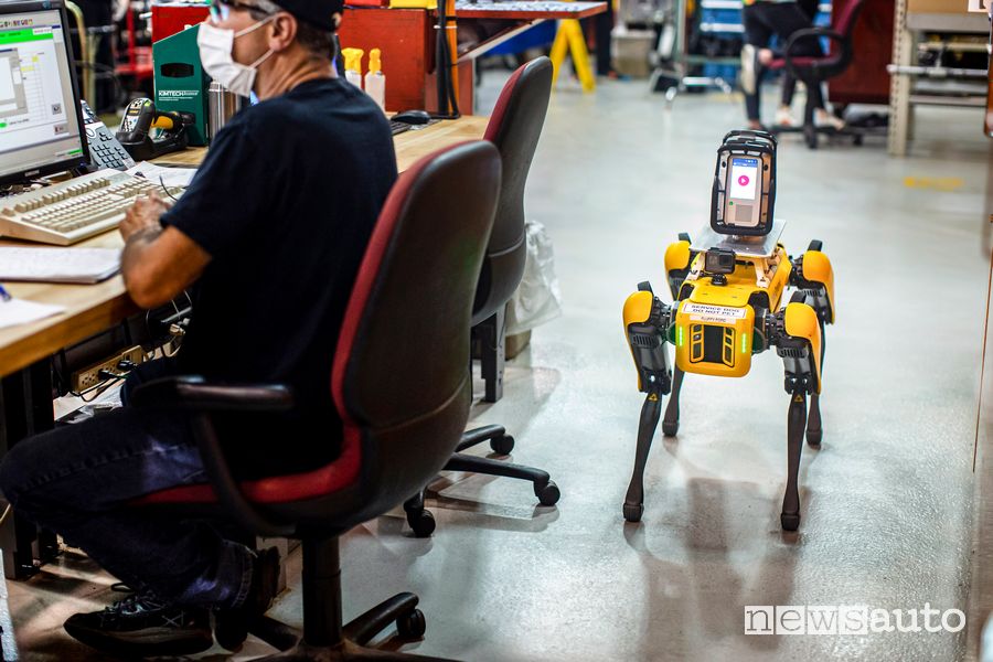 Robot a 4 zampe Fluffy Ford mentre scansiona la fabbrica