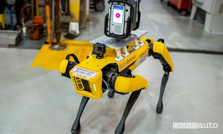 Robot a 4 zampe Fluffy Ford al lavoro