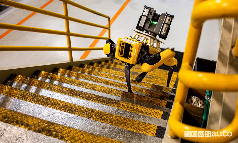 Robot a 4 zampe Fluffy Ford mentre sale le scale