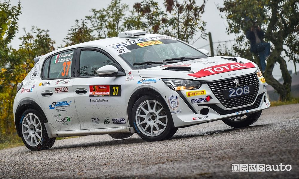 Rally Rue Vally vittoria Peugeot con Andreucci nelle Due Ruote Motrici