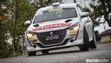 Rally Due Valli 2020, vittoria Peugeot Andreucci