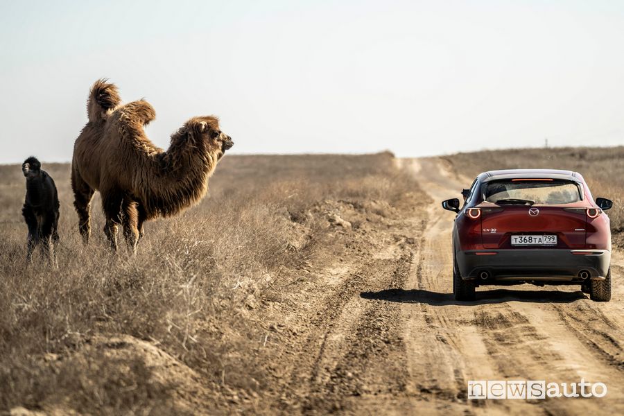 Viaggio Kazakhstan Epic Drive con la Mazda CX-30