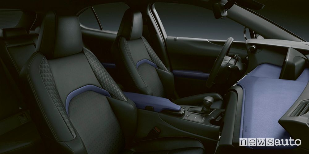 Abitacolo Lexus UX Hybrid Deep SKY