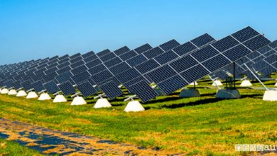 Ecco come si presenta il parco fotovoltaico che nel 2020 era il più grade in Italia.