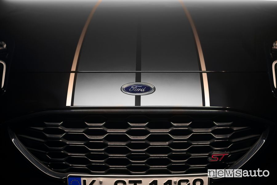 Calandra anteriore Ford Puma ST Gold Edition